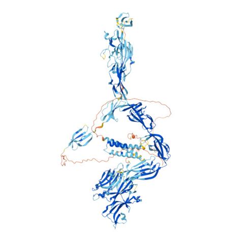 RCSB PDB AF AFP32653F1 Computed Structure Model Of Muramidase