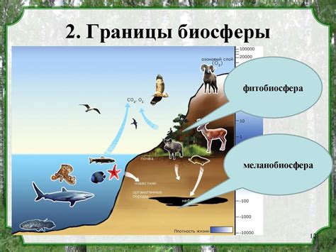 Учение о биосфере В.И. Вернадского - презентация онлайн
