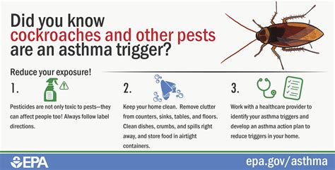 Asthma Triggers Infographics