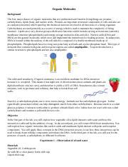 Lab 4 Organic Molecules 2020 1 Docx Organic Molecules Background The