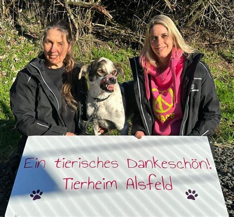 Vielen Dank F R Ihre Spenden Tierheim Alsfeld