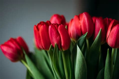 De Top Tulpenvazen Van Welkeisdebeste Nl