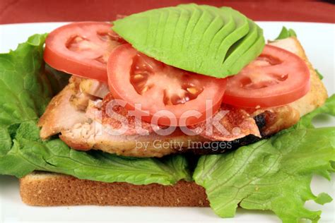 Sandwich With Oven Roasted Turkey Stock Photo | Royalty-Free | FreeImages