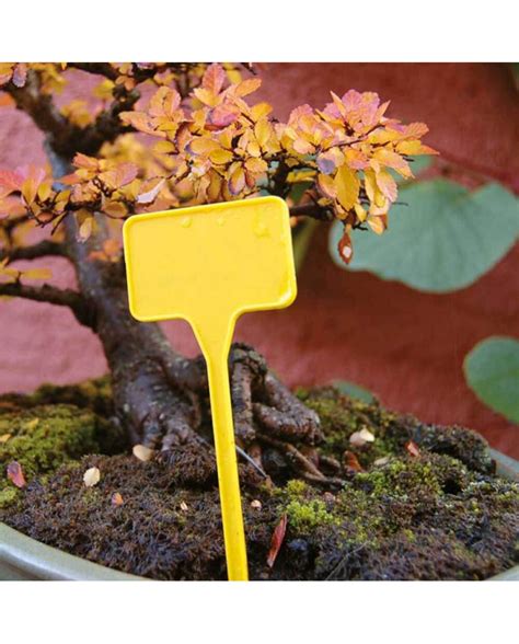 Sachet de 10 étiquettes à planter en plastique 15m