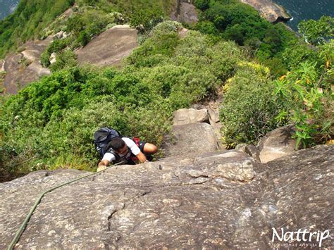 Sugarloaf Mountain Hike Rio De Janeiro Professional Guide