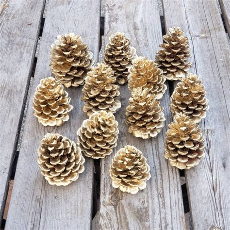 Painted Pine Cones Etsy