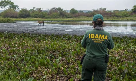 Quais Os Orgaos Responsaveis Pela Fiscalizacao E Legislacao Ambiental