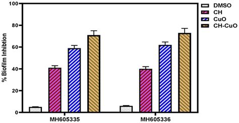 Frontiers Comparative Analysis Of Phyto Fabricated Chitosan Copper