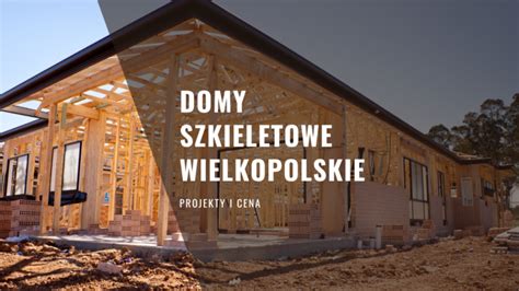 Domy Szkieletowe W Polsce Gotowe Projekty Projekt Dom