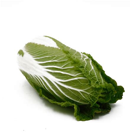 Chinese Cabbage | Ted's Veg