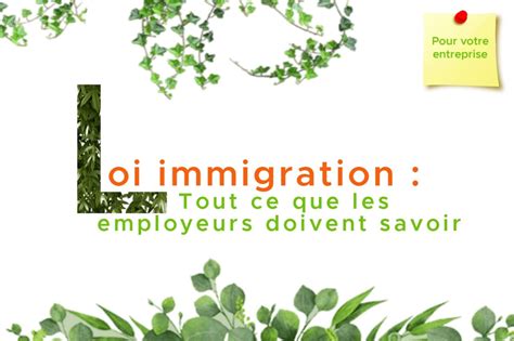 Loi Immigration Ce Que Les Employeurs Doivent Savoir