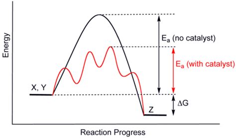 Difference Between Homogeneous and Heterogeneous Catalyst | Compare the ...