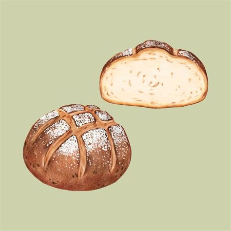 Premium Vector Freshly Baked Sourdough Bread Hand Drawn Illustration