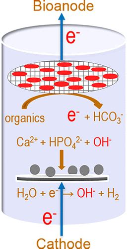 Energy Efficient Phosphorus Recovery By Microbial Electrolysis Cell