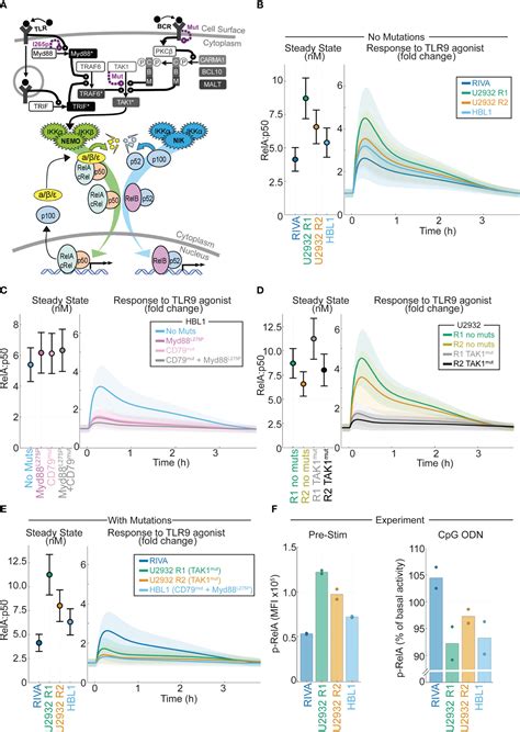 Frontiers Nf κb Fingerprinting Reveals Heterogeneous Nf κb