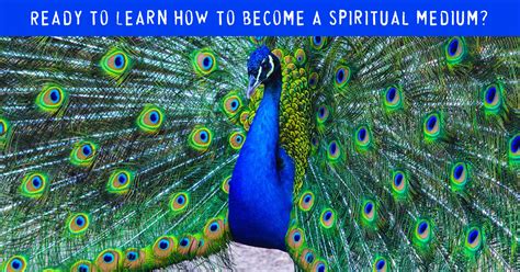 Becoming The Bridge: 7 Steps To Mastering The Art Of Mediumship