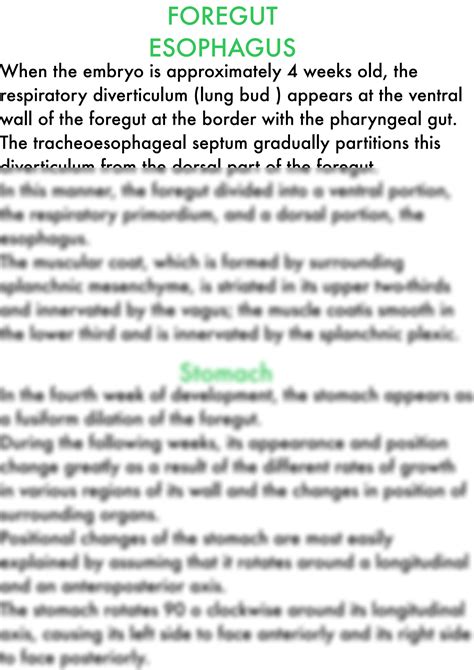 SOLUTION Embryology Digestive System Studypool