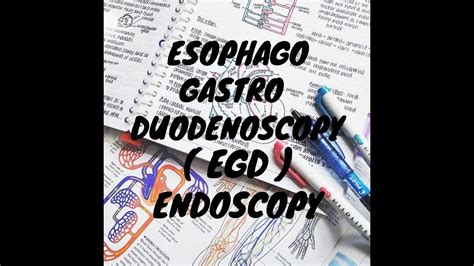 Esophago Gastro Duodenoscopy Egd Endoscopy Youtube