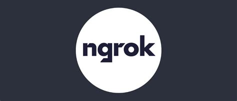 What is Ngrok? Hosting An Application On The Internet With Ngrok