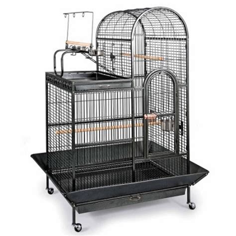 Deluxe Parrot Dometop Cage With Playtop Parrot Cage Bird Cage Bird