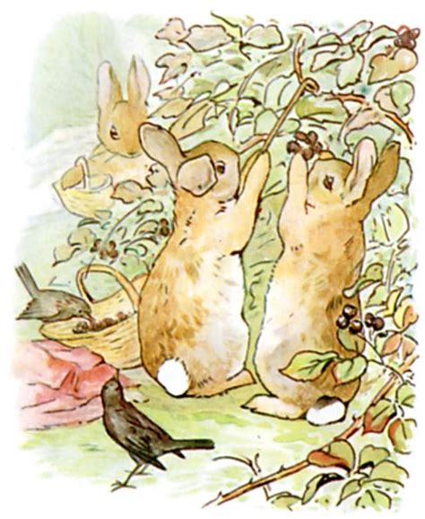 The Tale Of Peter Rabbit Beatrix Potter Bedtime Stories