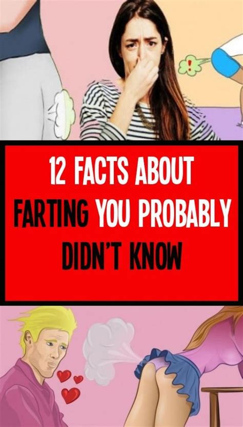 12 Facts About Farting You Probably Didn’t Know Wellness Click