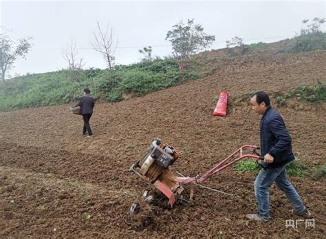 瞰县域丨甘肃成县：抢抓“粮”好时节 打好秋播主动仗种植小麦村民