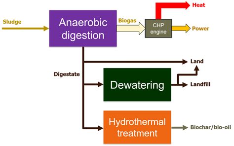 Anaerobic Digestion Sludge Processing