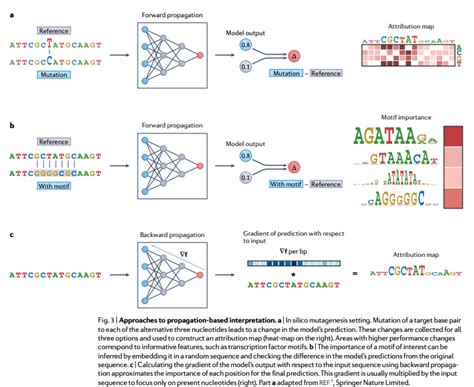 Nature Reviews Genetics On Twitter RT BioDecoded Obtaining Genetics