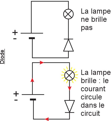 5e 1 Le circuit électrique Support élève