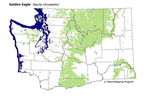 Distribution Map Golden Eagle Aquila Chrysaetos