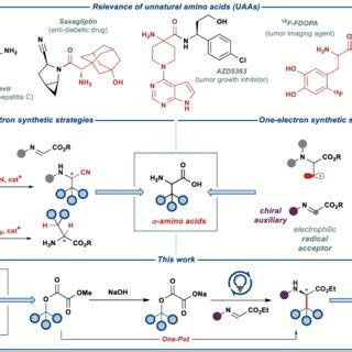 Relevance Of Unnatural Amino Acids UAAs Previously Developed