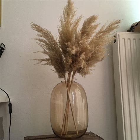 Neat Pampas Grass And Vase Silk Anthurium