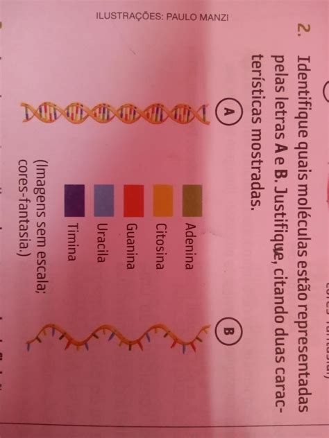 Identifique Quais Mol Culas Est O Representadas Pelas Letras A E B