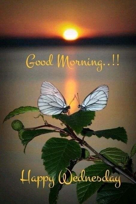 Pin By Becky Horton On Daily Greetings Good Morning Wednesday Happy