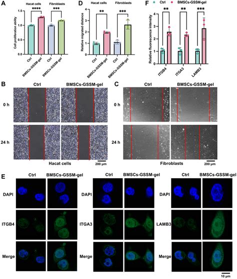 Improvement Of Skin Wound Healing By Giant Salamander Skin Mucus Gel