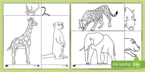 African Animal Outlines | Colouring Pages for Kids - Twinkl