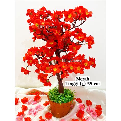 Jual POHON BUNGA MEIHWA POT SINCIA POHON BUNGA SAKURA MEIHUA VAS DAUN