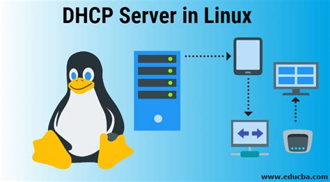 Dhcp Server In Linux How It Works How To Configure Advatanges