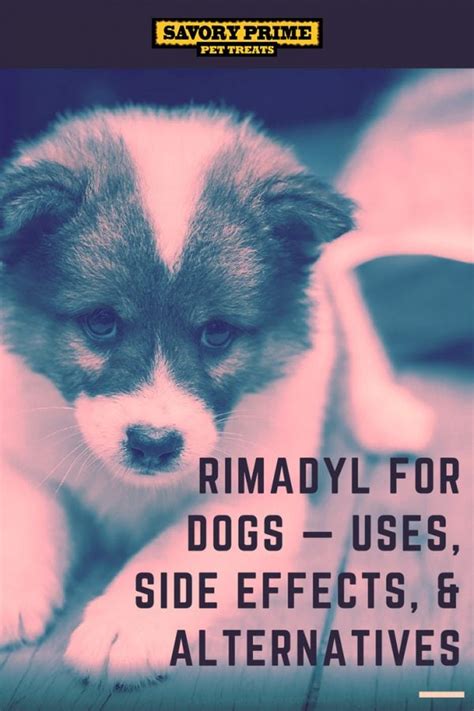 Rimadyl for Dogs — Uses, Side Effects, & Alternatives - Savory Prime Pet Treats