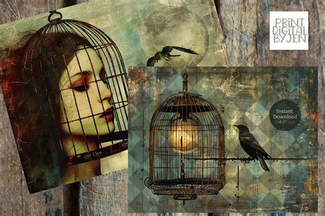 Steampunk Birdcage And Victorian Lady Junk Journal Pages CU Printable