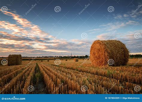 Beautiful Countryside Landscape Round Straw Bales In Harvested Fields