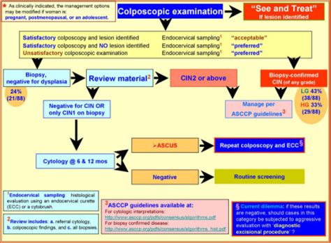 Suggested Management algorithm of Women with LSIL-H*. | Open-i