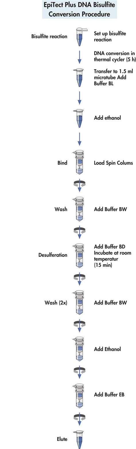 EpiTect Plus Bisulfite Kits