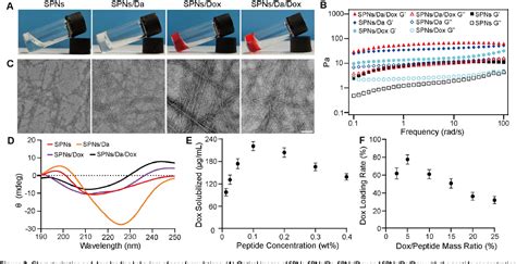 Figure From Supramolecular Nanofibers Co Loaded With Dabrafenib And