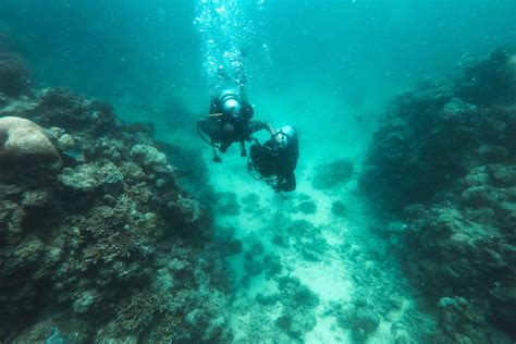 Jeddah Red Sea Shore Diving In Saudi Arabia