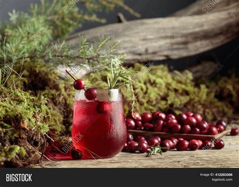 Cranberry Cocktail Image And Photo Free Trial Bigstock