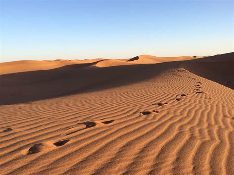 Free Images Landscape Desert Sand Dune Sandy Habitat Sahara