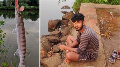 खूप दिवसांनी गेलो खाडीत गरवून मासे पकडायला पाऊस चालू झाला Fishing