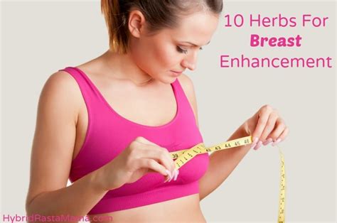 10 Herbs For Breast Enhancement Hybrid Rasta Mama